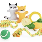Pet Toys