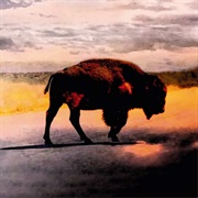 Robert Plant - Saving Grace