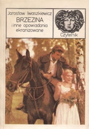 Brzezina (Jarosław Iwaszkiewicz)