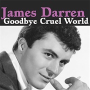 Goodbye Cruel World