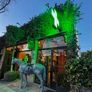 The Woods WEHO Dispensary