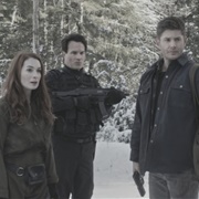 13.18 Bring 'em Back Alive