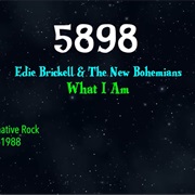 #8906 What I Am by Edie Brickell & the New Bohemians