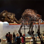 Museo De Historia Natural, Mexico City