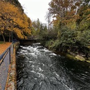 Martime Heritage Park, Bellingham, WA