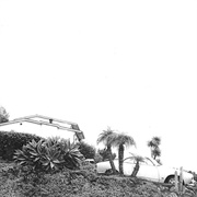 Run From Me - Timber Timbre