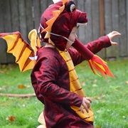 Dragon Costume