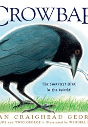 Crowbar:  the Smartest Bird in the World (Jean Craighead George)