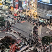 Brave Shibuya Crossing in Japan