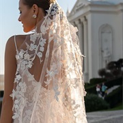 Beaded Lace Wedding Veil