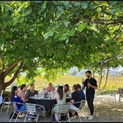 The Vintage Theory, Sabrosa, Portugal