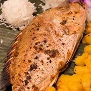 Barramundi Cod (Marshall Islands)