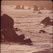 Cambria State Marine Conservation Area