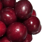 Plums - Fortune