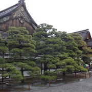 Ninomaru Palace, Kyoto