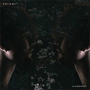 Windswept - Crywolf