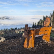 Tiger Mountain, Washington State