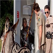RENO 911!: "Son of a Chechekevitch" (S4,E6)