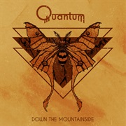 Quantum - The Hivemind & the Cockroach