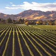 Gimblett Gravels, New Zealand