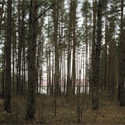 Untitled From Negative Publicity: Artefacts of Extraordinary Rendition (Edmund Clark)