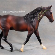 Missouri Fox Trotter