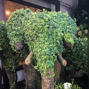 The Empty Vase West Hollywood