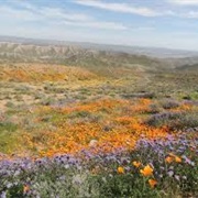 Eastern Kern County Onyx Ranch State Vehicular Recreation Area