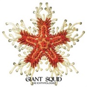 The Ichthyologist - Giant Squid (2009)