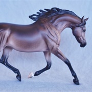 Trotting Arabian Mare