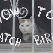 S3.E5: How to Watch Birds