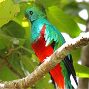 Trifinio Fraternidad Bio Reserve (El Salvador, Guatemala, Honduras)
