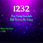 #7576 She Drives Me Crazy by the Fine Young Cannibals