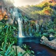 Bassin Des Aigrettes, Reunion