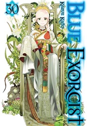 Blue Exorcist 30 (Kazue Kato)
