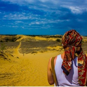 Sand Dunes of Spruce Woods, Manitoba