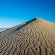White Bluffs Central Slope (Sand Dunes), Mesa, WA,