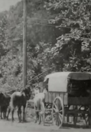 Coach at Rural Post Office, U.S.P.O. (1903)