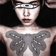 What Does Your Soul Look Like - Wayside