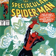 The Spectacular Spider-Man: The Child Within, J.M Dematteis.