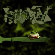 Amphibians Performing Surgery III - Phyllomedusa