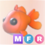 ･､ ᵍᵒˡᵈᶠⁱˢʰ