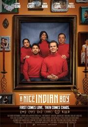 A Nice Indian Boy (2024)