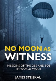 No Moon as Witness (James Stejskal)
