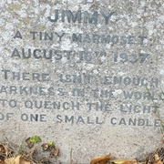 Grave of Jimmy, a Tiny Marmoset