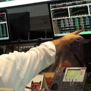 S1.E7: The Stock Market