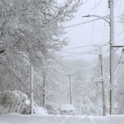 Been in a Blizzard