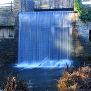 Stew Pond at Newstead Abbey