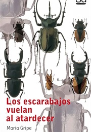 Los Escarabajos Vuelan Al Atardecer (Maria Gripe)