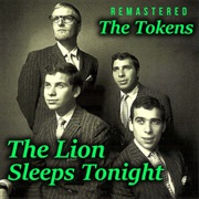 Lion Sleeps Tonight/ the Tokens